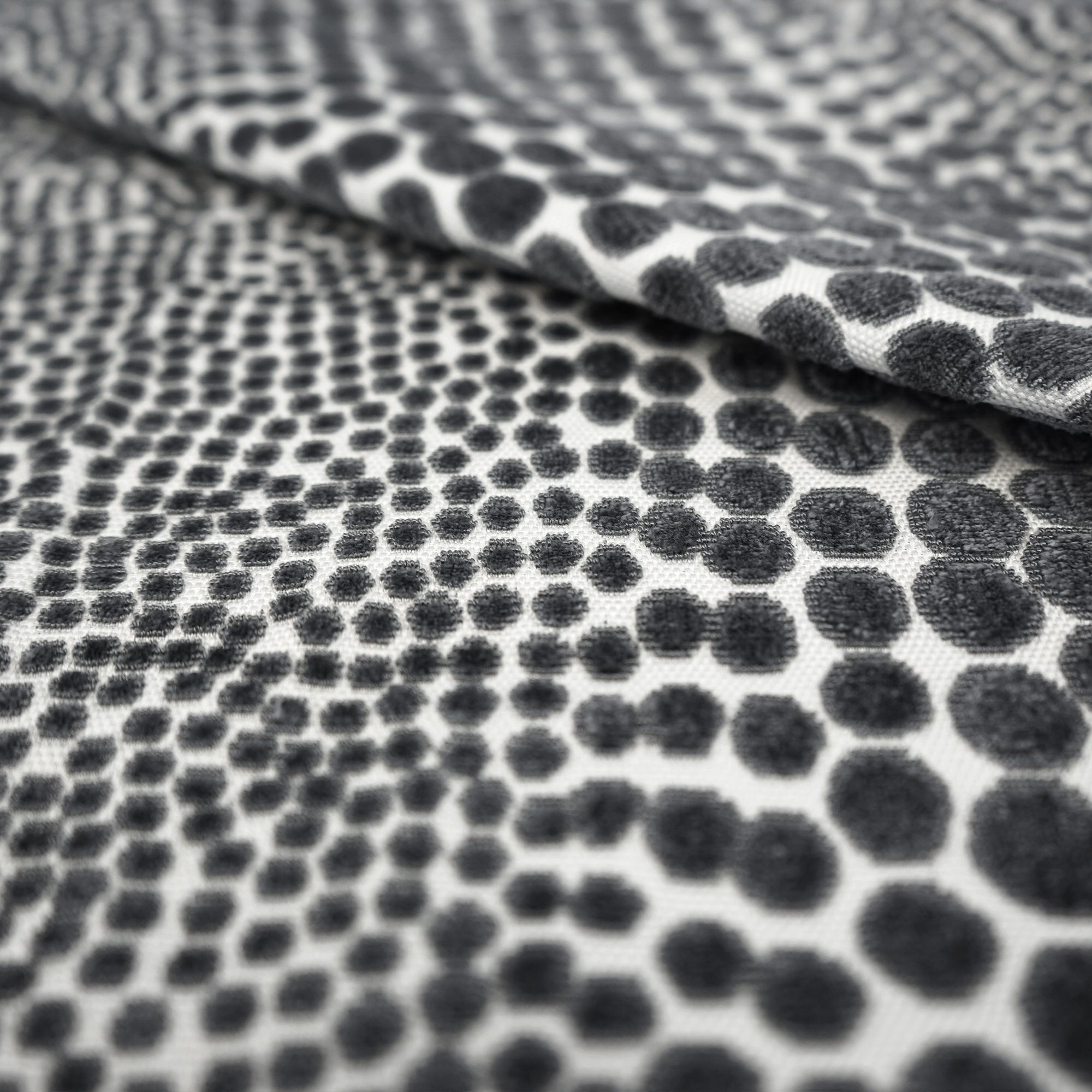 CHEETAH – SJ101 – JF Studio