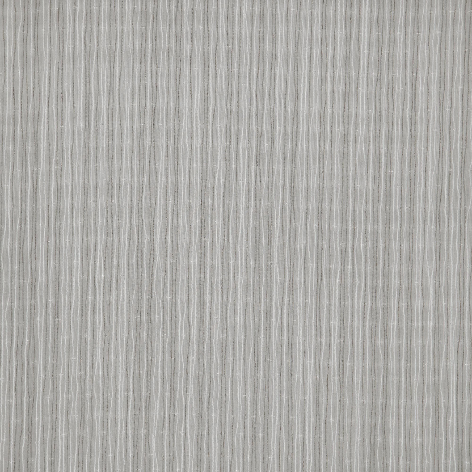 HORSETAIL – J8081 – Winning Windows Arizona