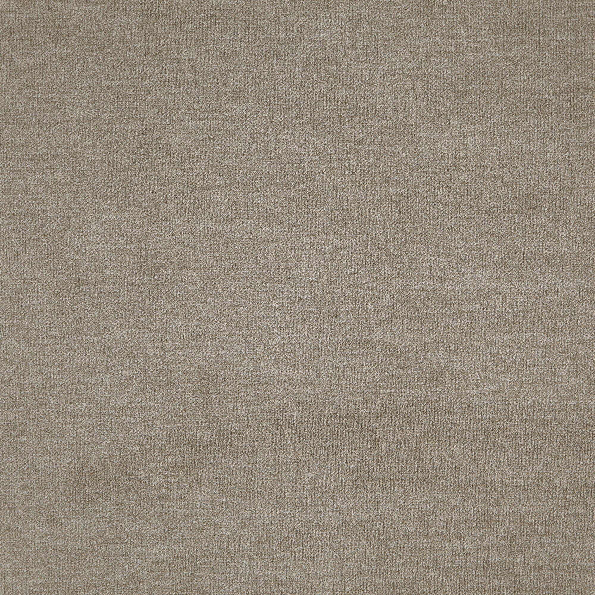KOALA – J8471 – Everyday Koala