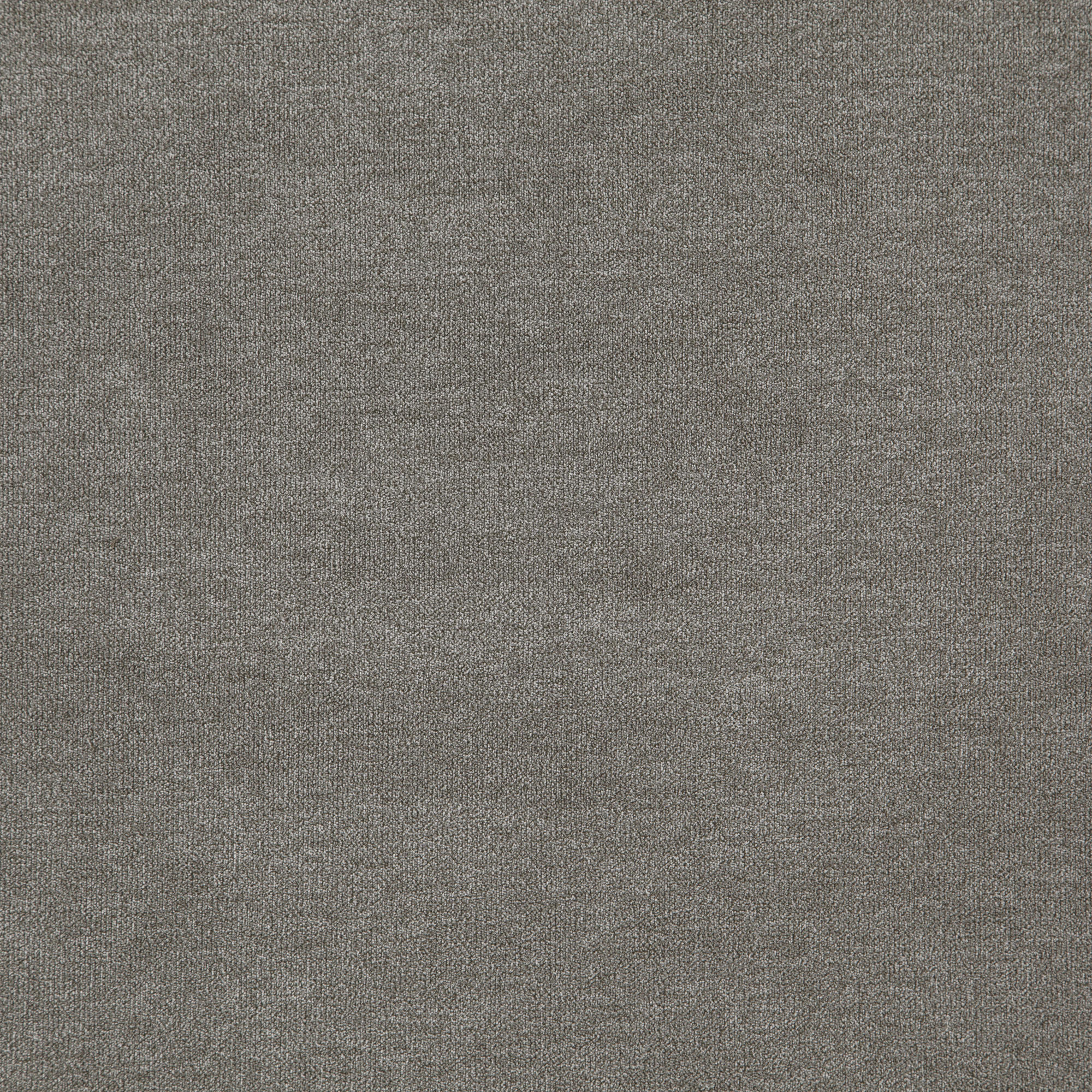 KOALA – J8471 – Everyday Koala