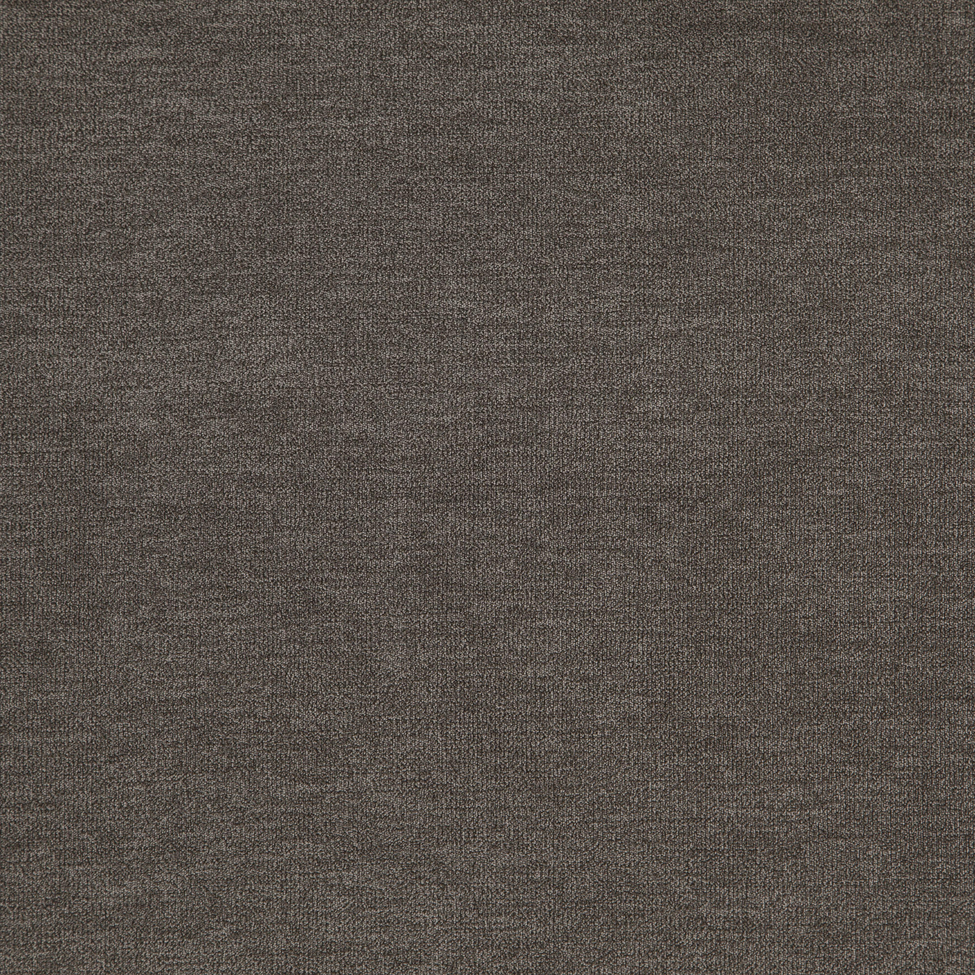 KOALA – J8471 – Everyday Koala