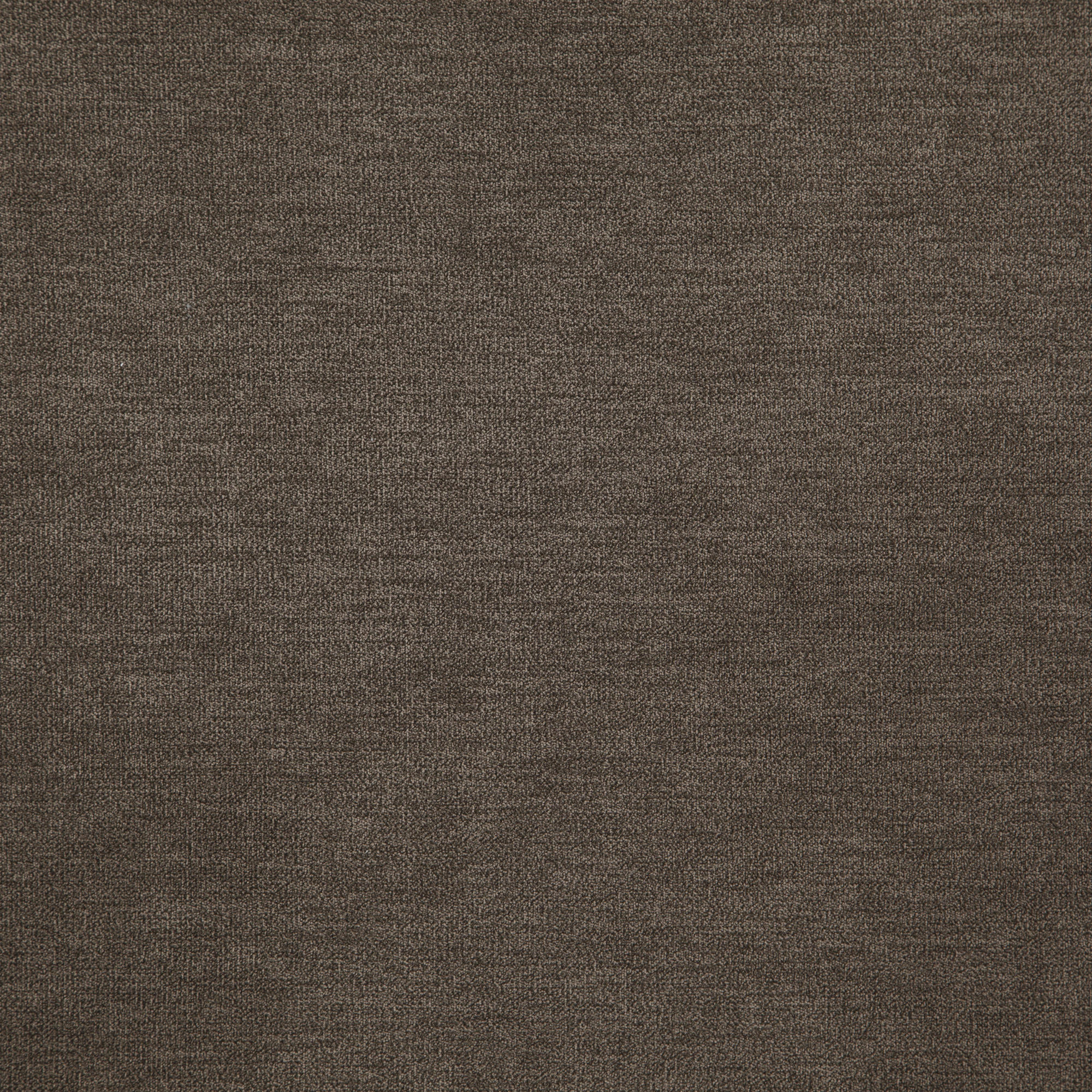 KOALA – J8471 – Everyday Koala