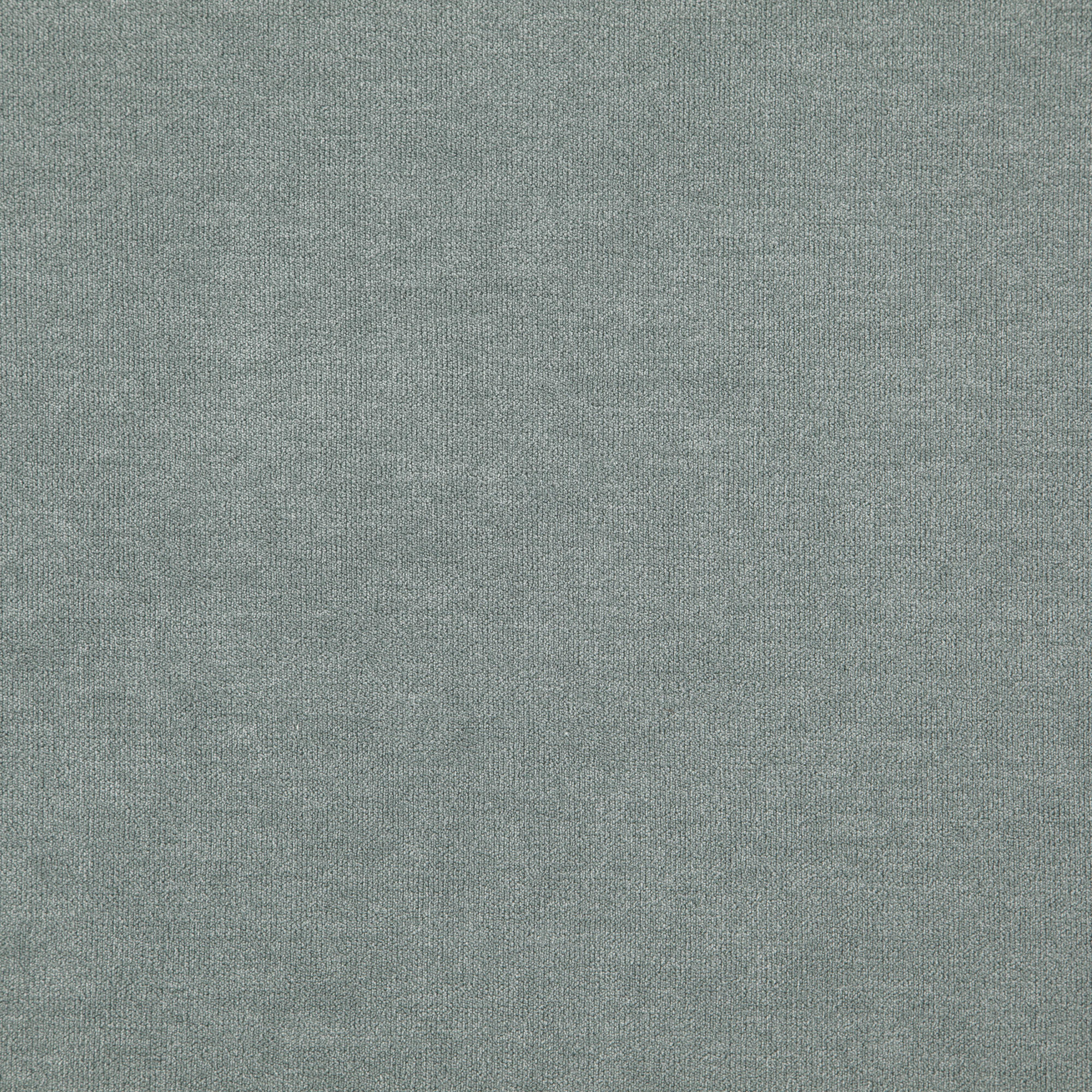 KOALA – J8471 – Everyday Koala