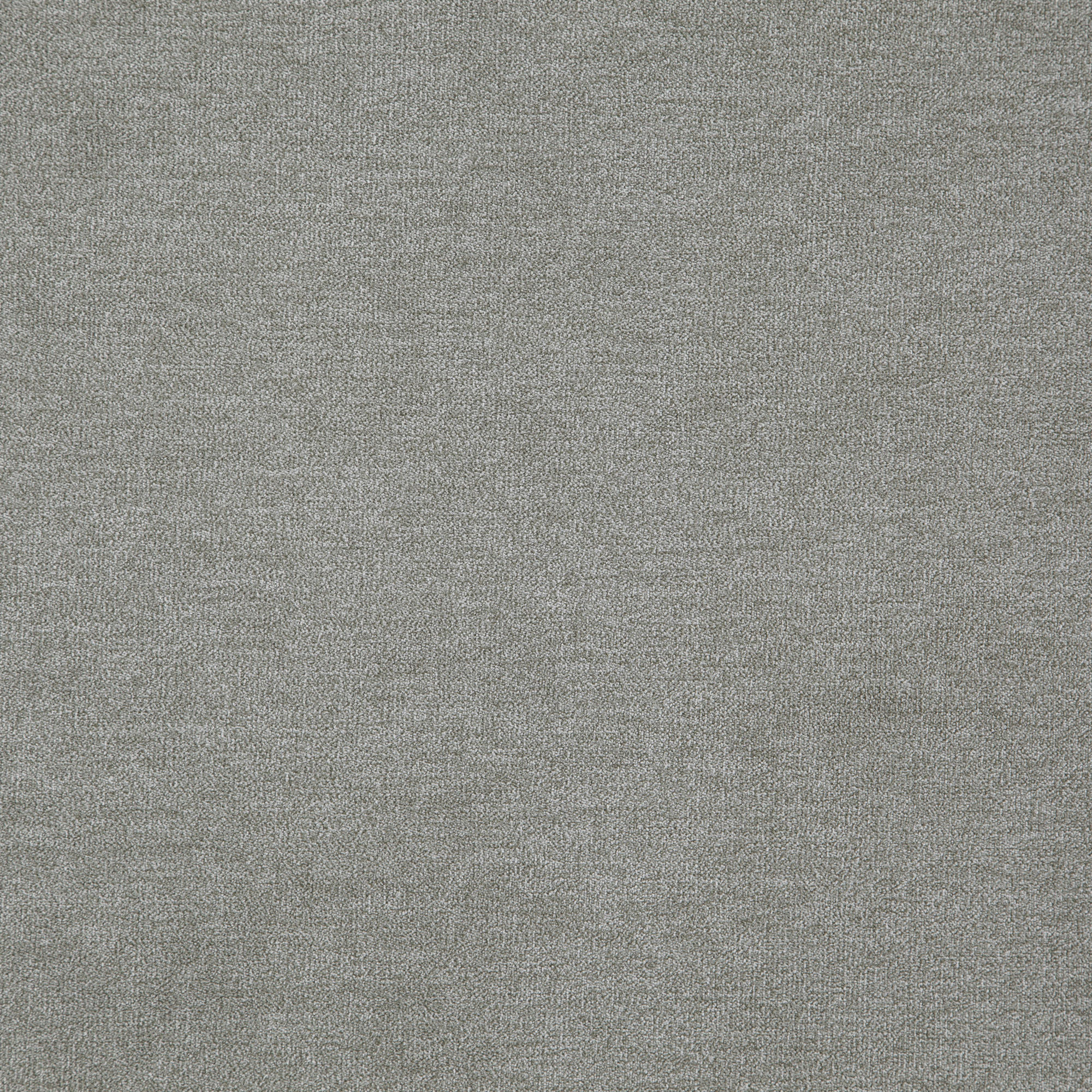 KOALA – J8471 – Everyday Koala