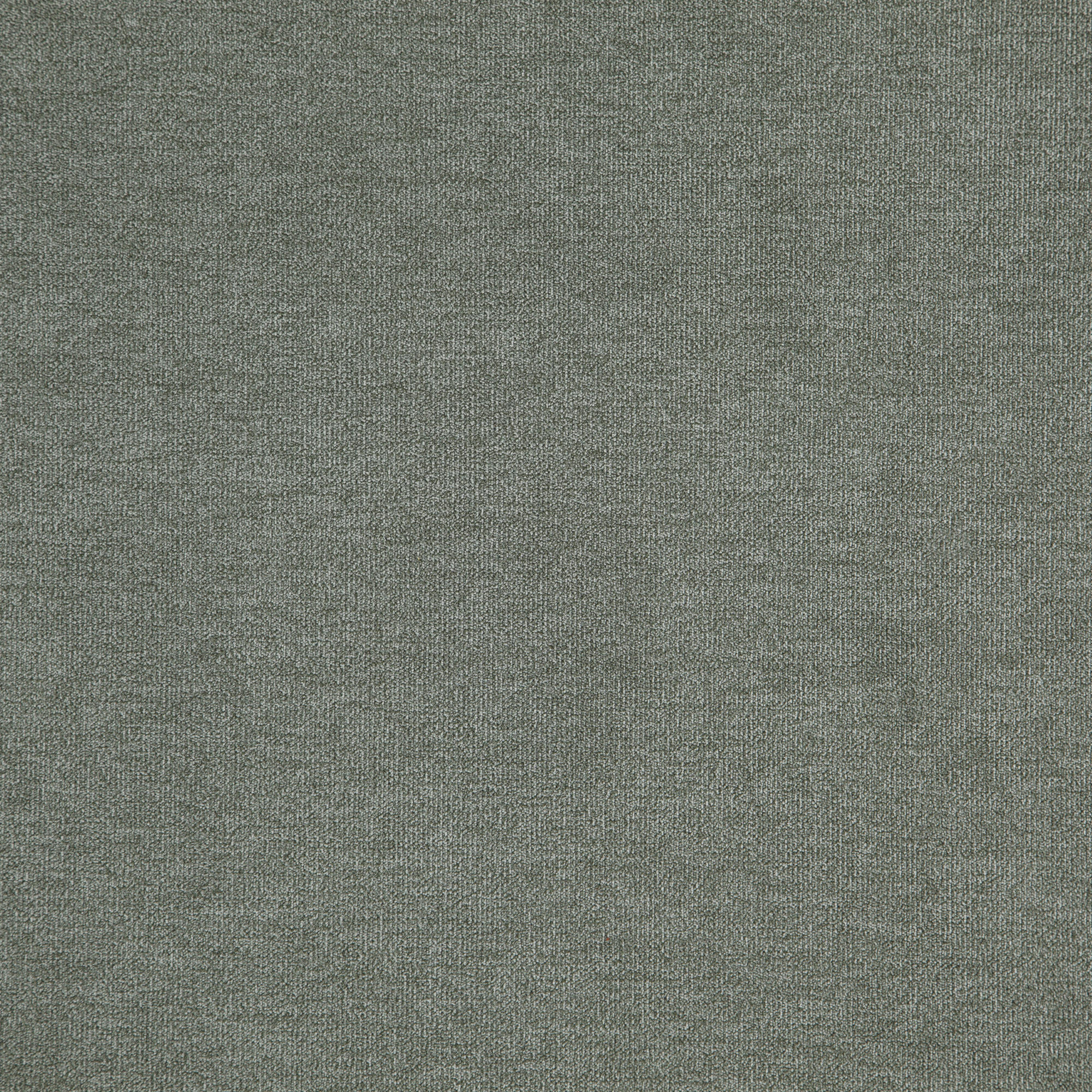 KOALA – J8471 – Everyday Koala