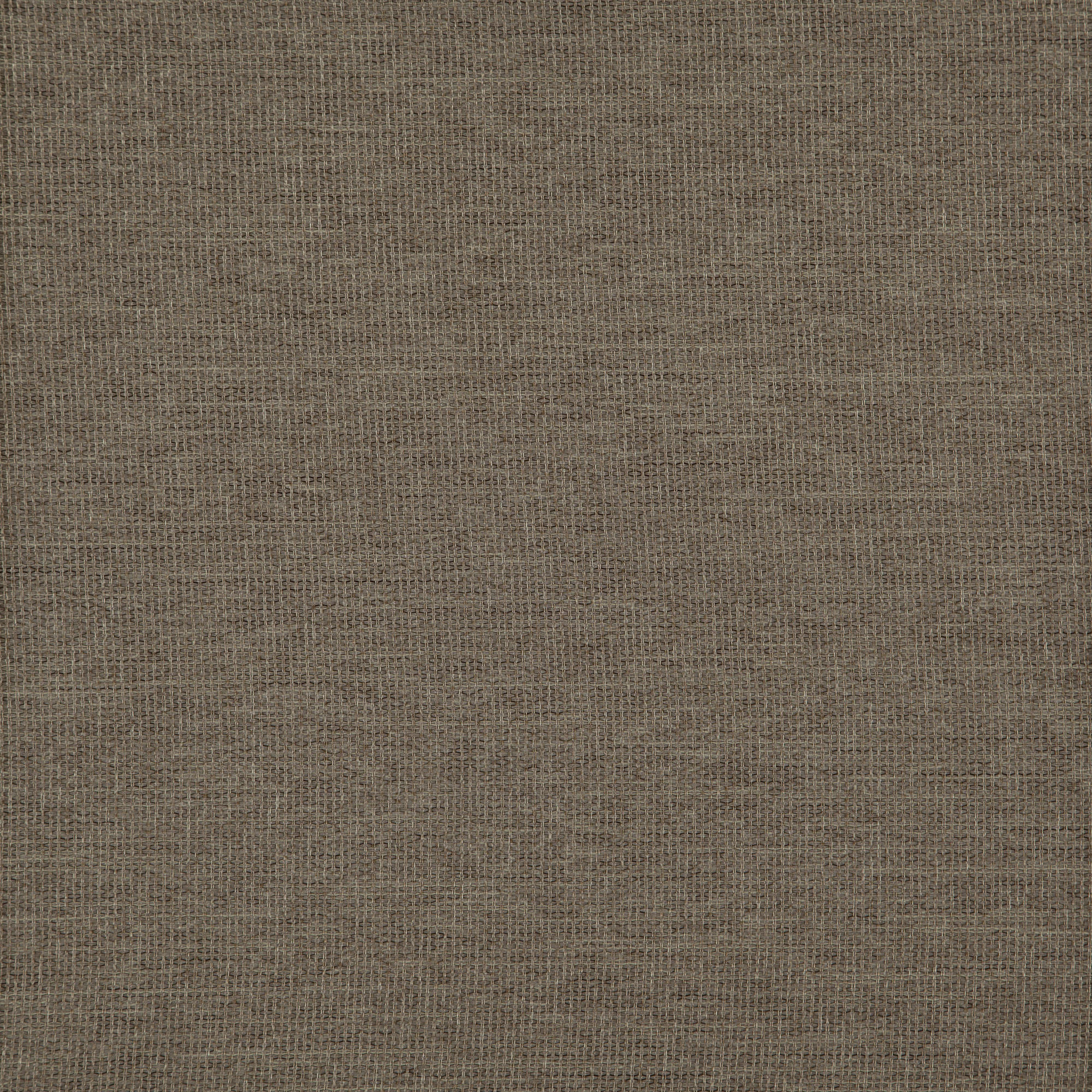 NECTAR – J8081 – Winning Windows Arizona